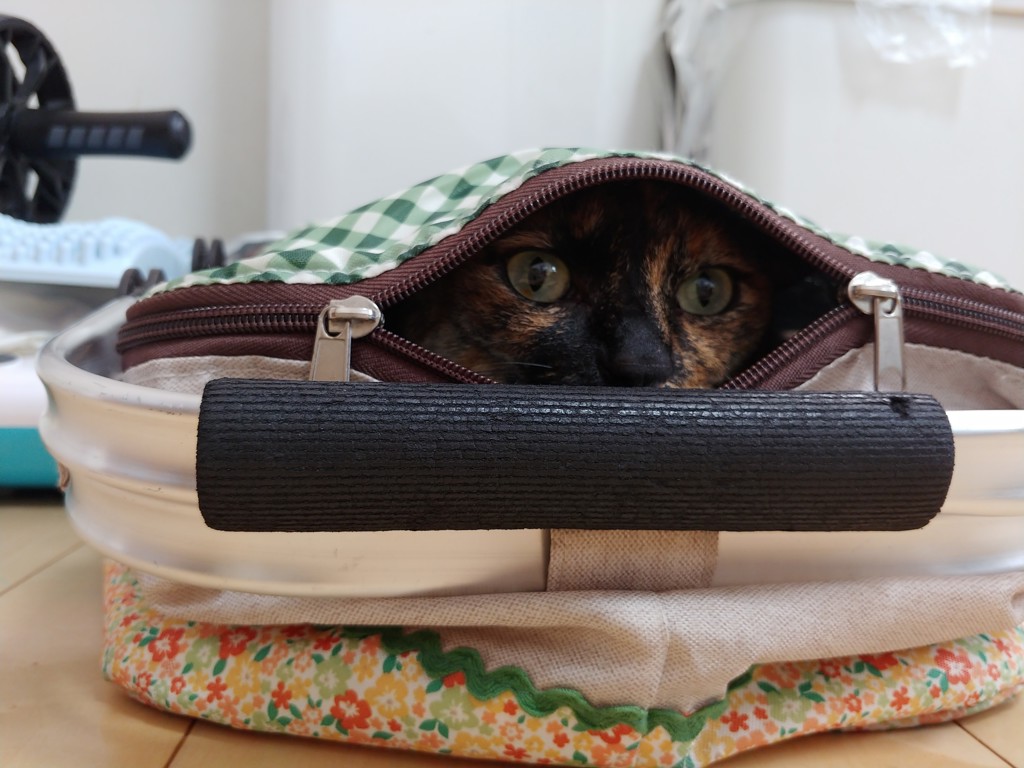 ユーザー写真