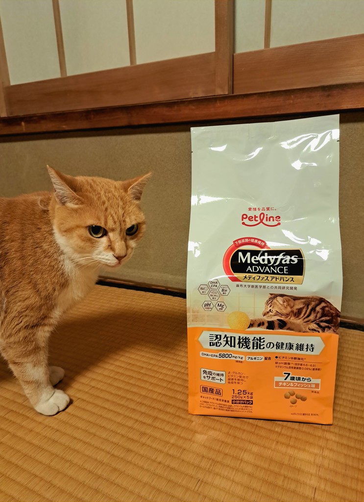 ユーザー写真