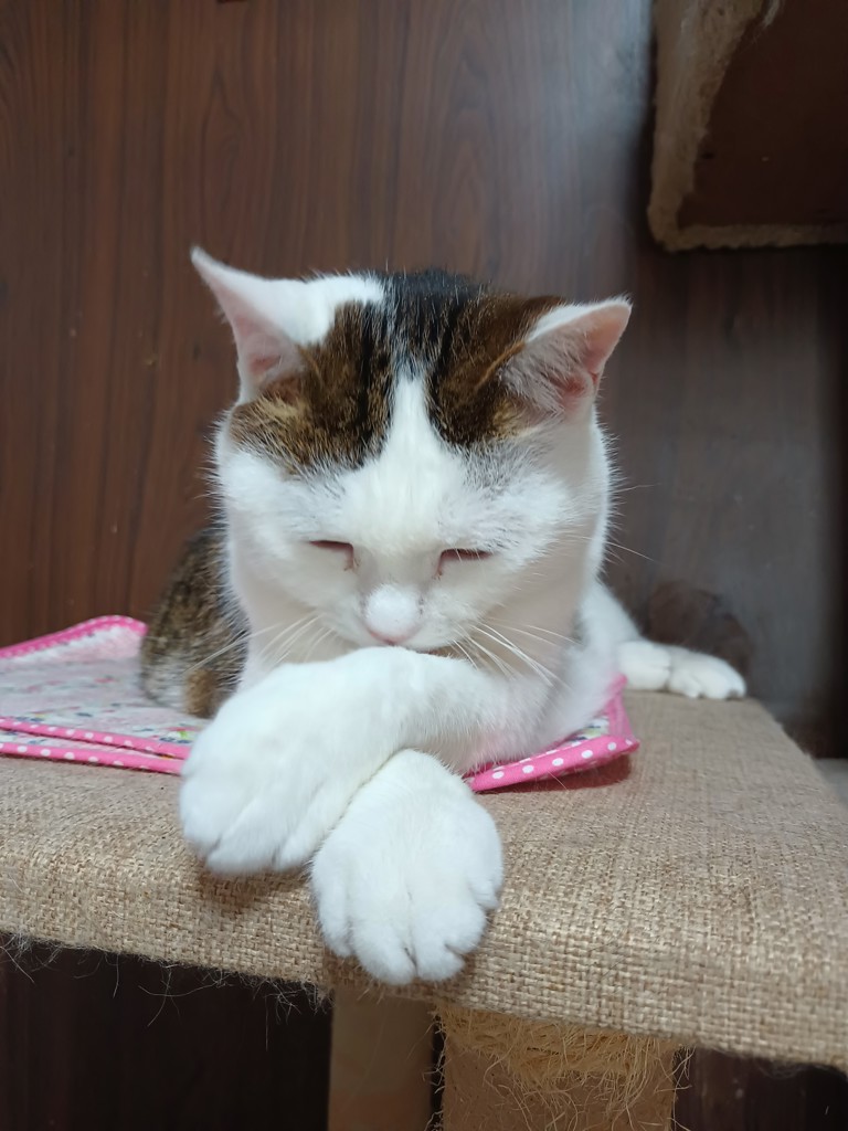 ユーザー写真