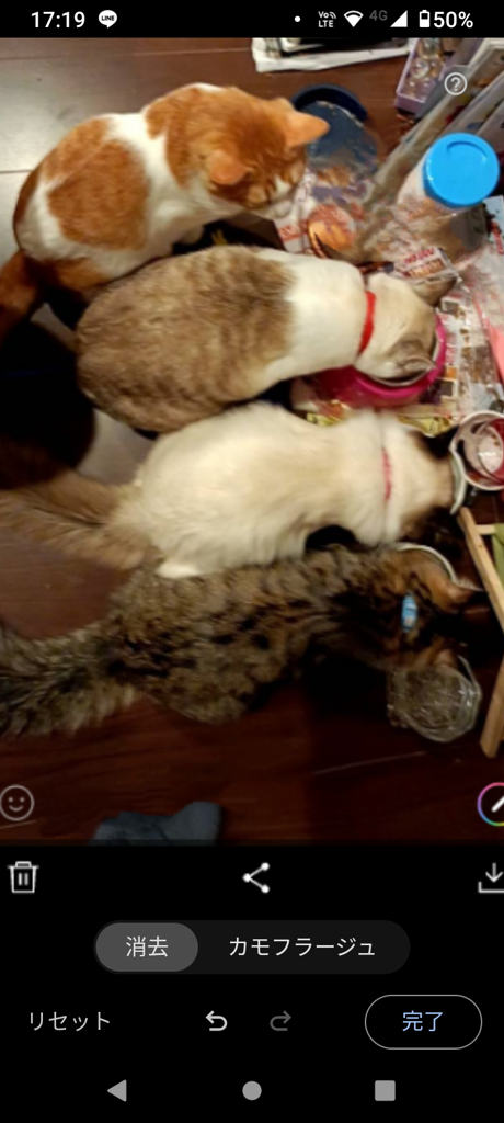 ユーザー写真