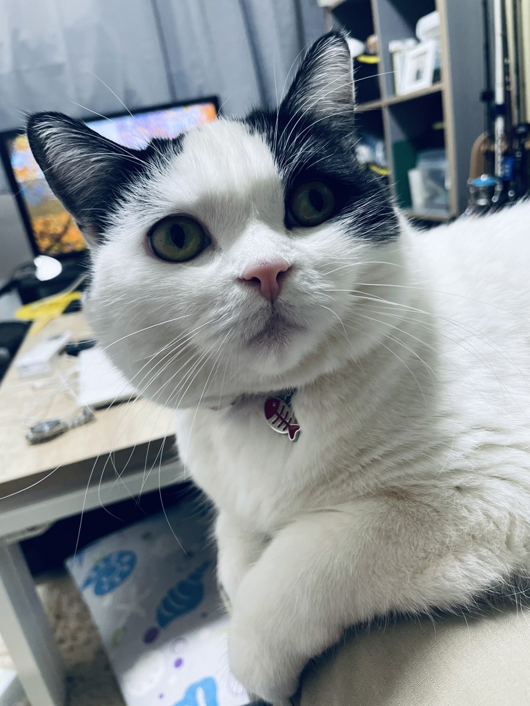 ユーザー写真