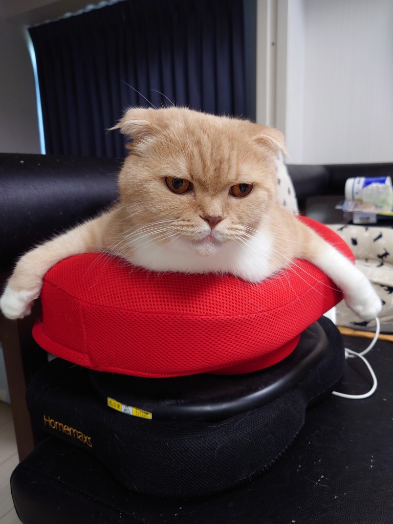 ユーザー写真