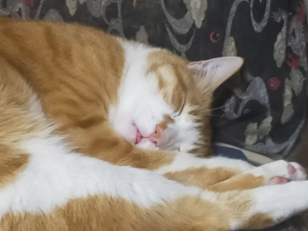 ユーザー写真