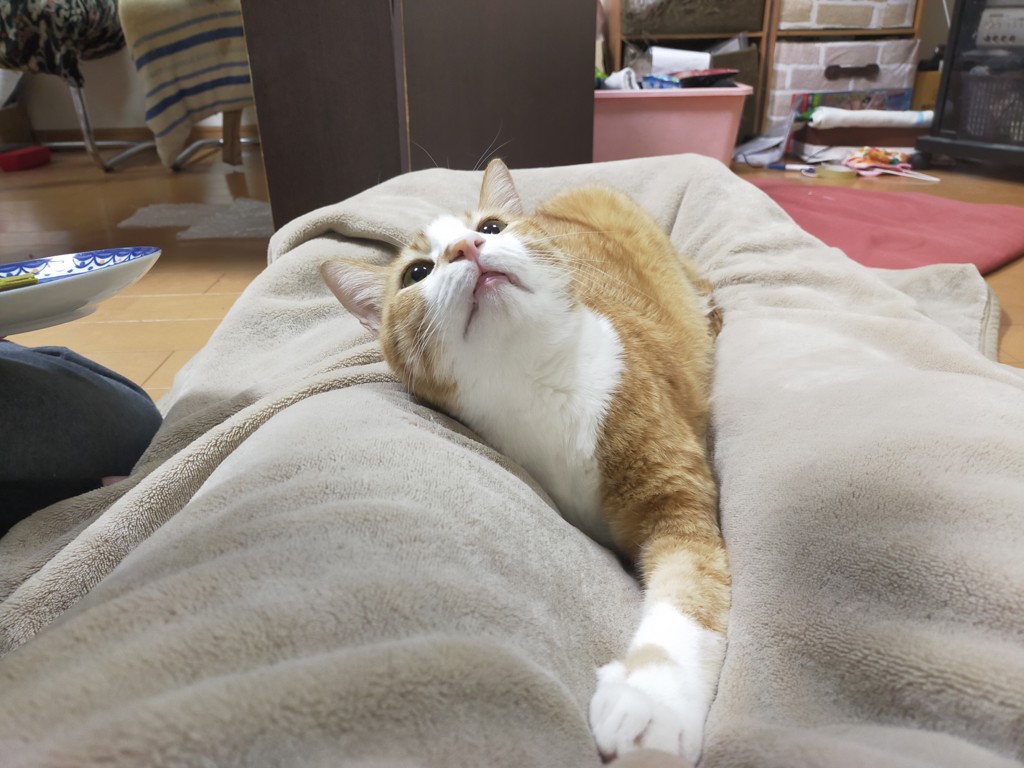 ユーザー写真