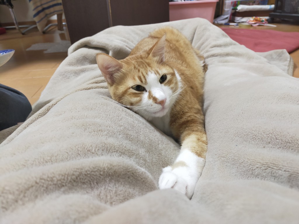ユーザー写真