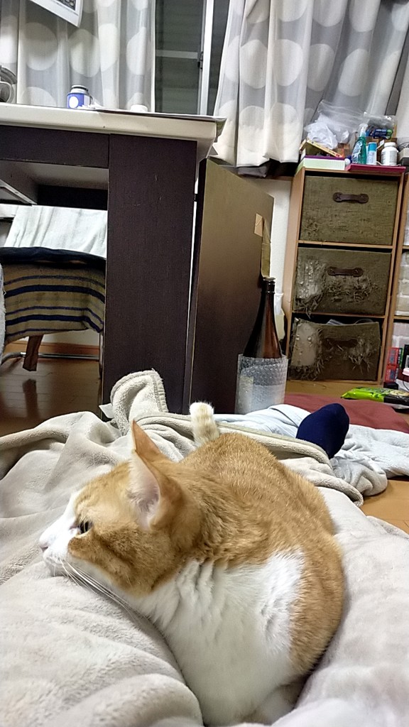 ユーザー写真
