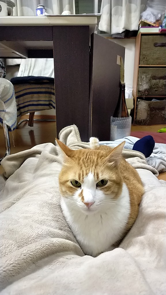 ユーザー写真