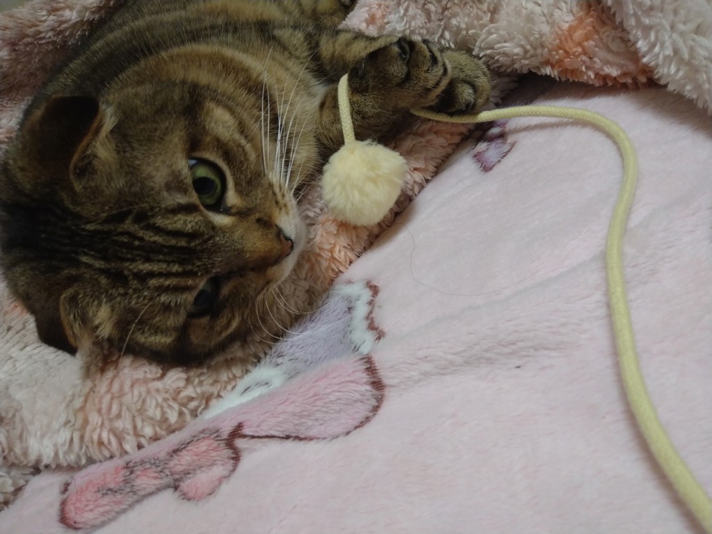 ユーザー写真