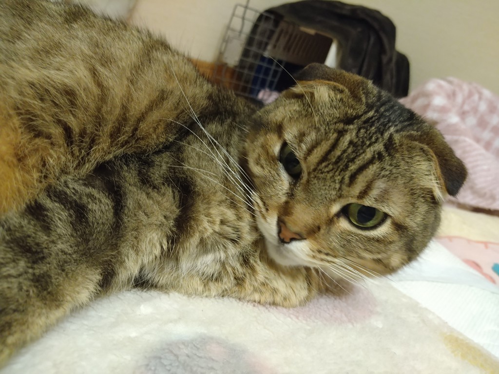ユーザー写真