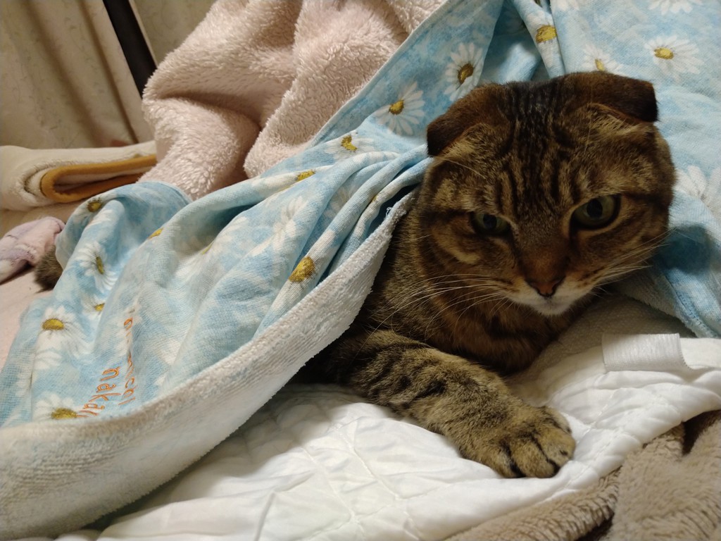ユーザー写真