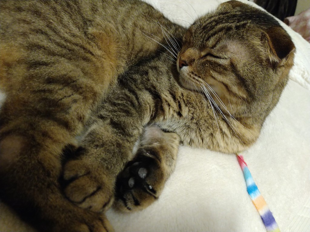 ユーザー写真
