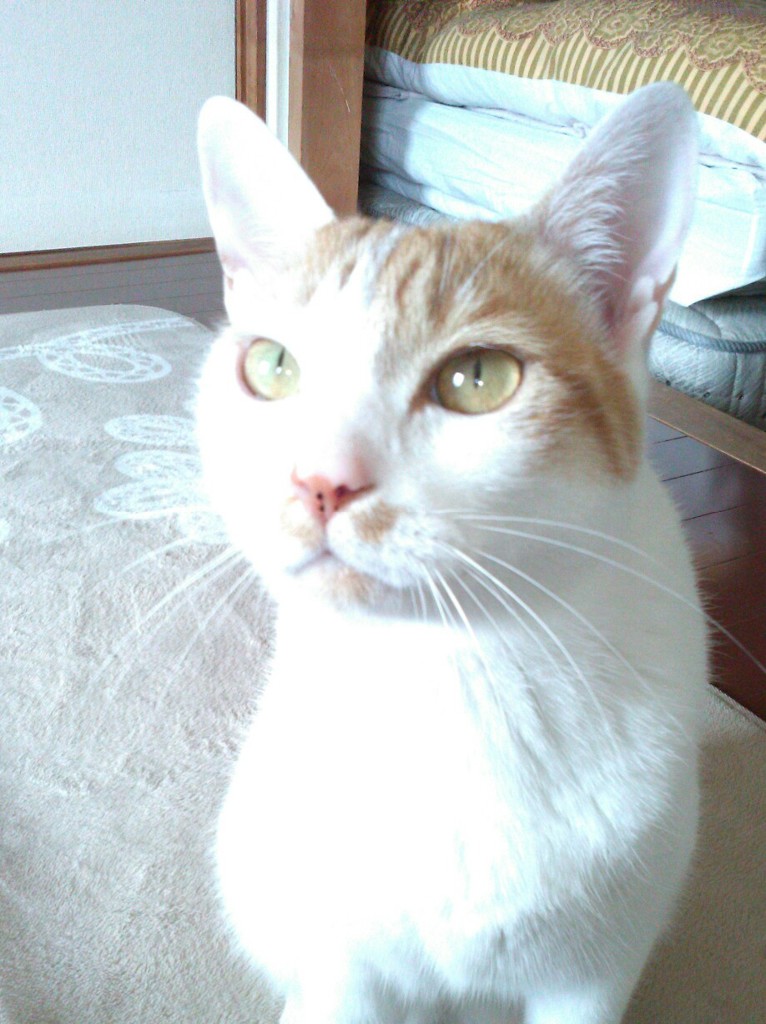 ユーザー写真