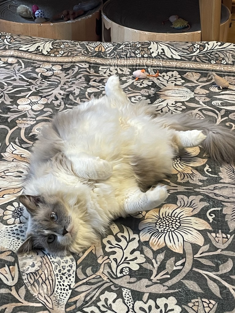 ユーザー写真