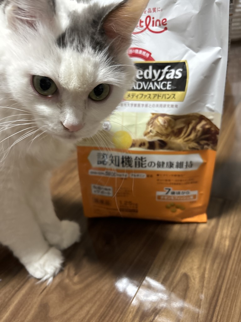 ユーザー写真