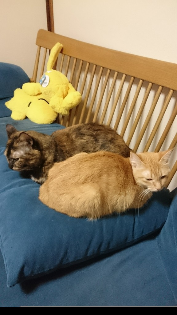 ユーザー写真