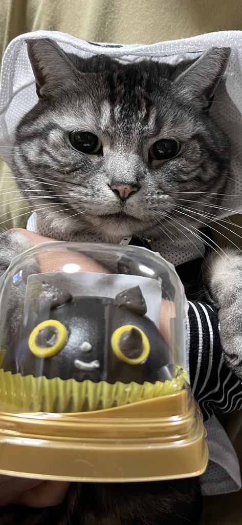 ユーザー写真