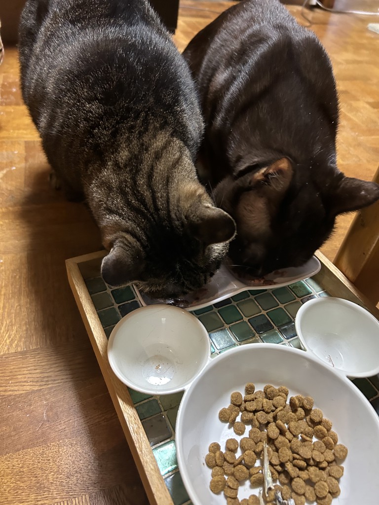 ユーザー写真