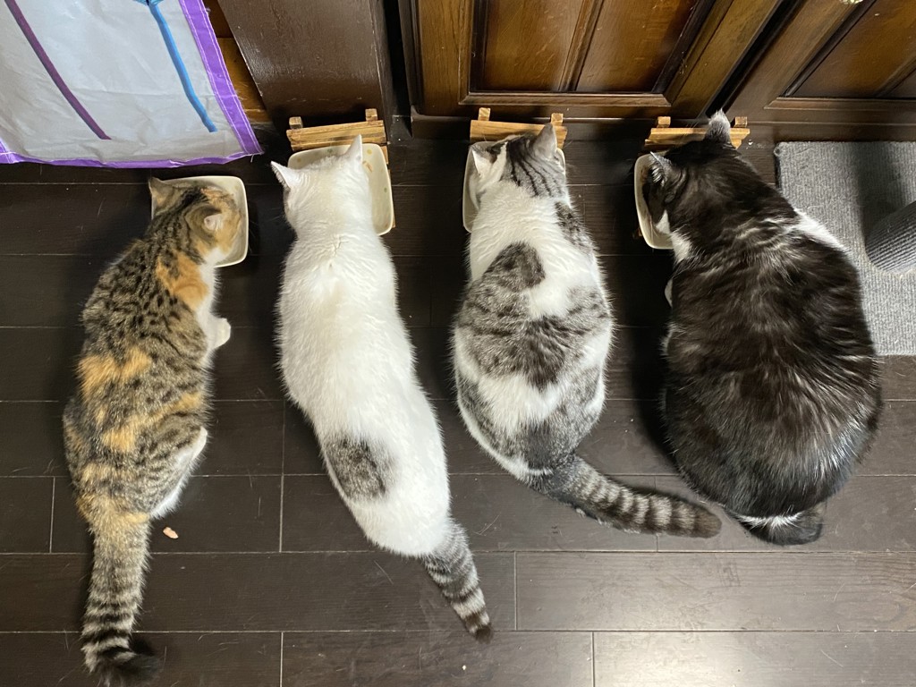 ユーザー写真
