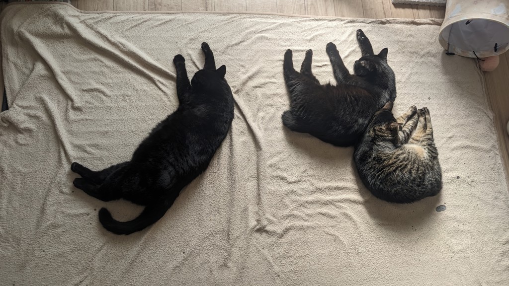 ユーザー写真