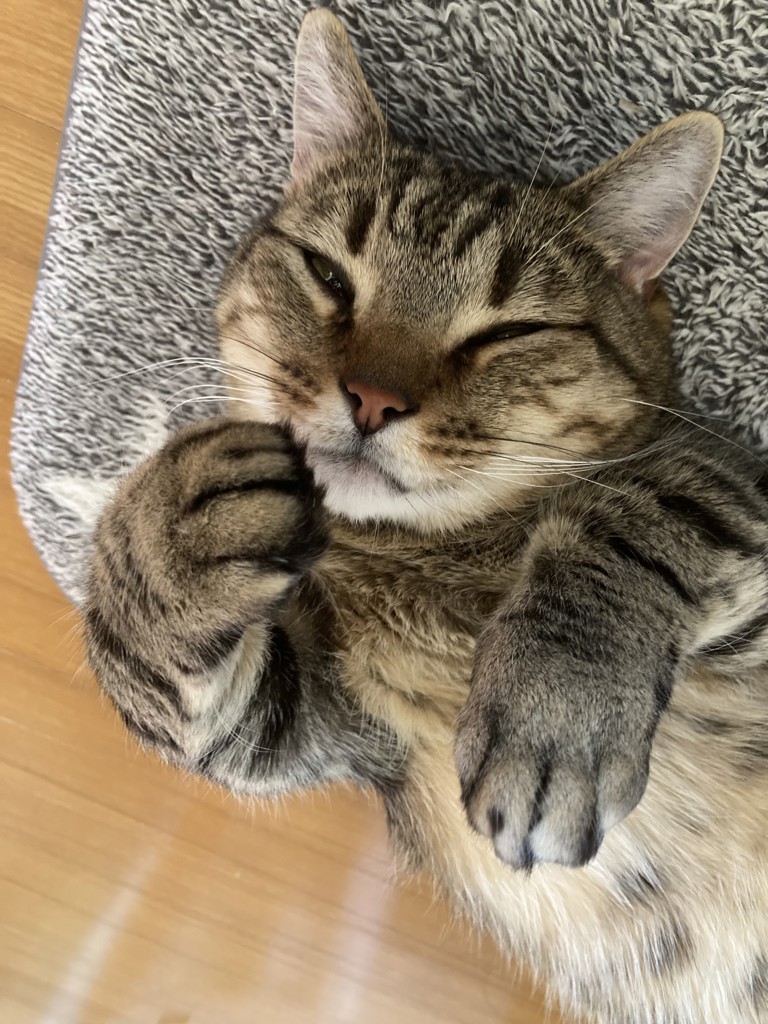 ユーザー写真