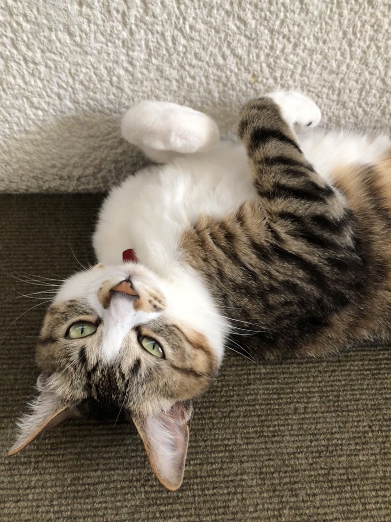 ユーザー写真