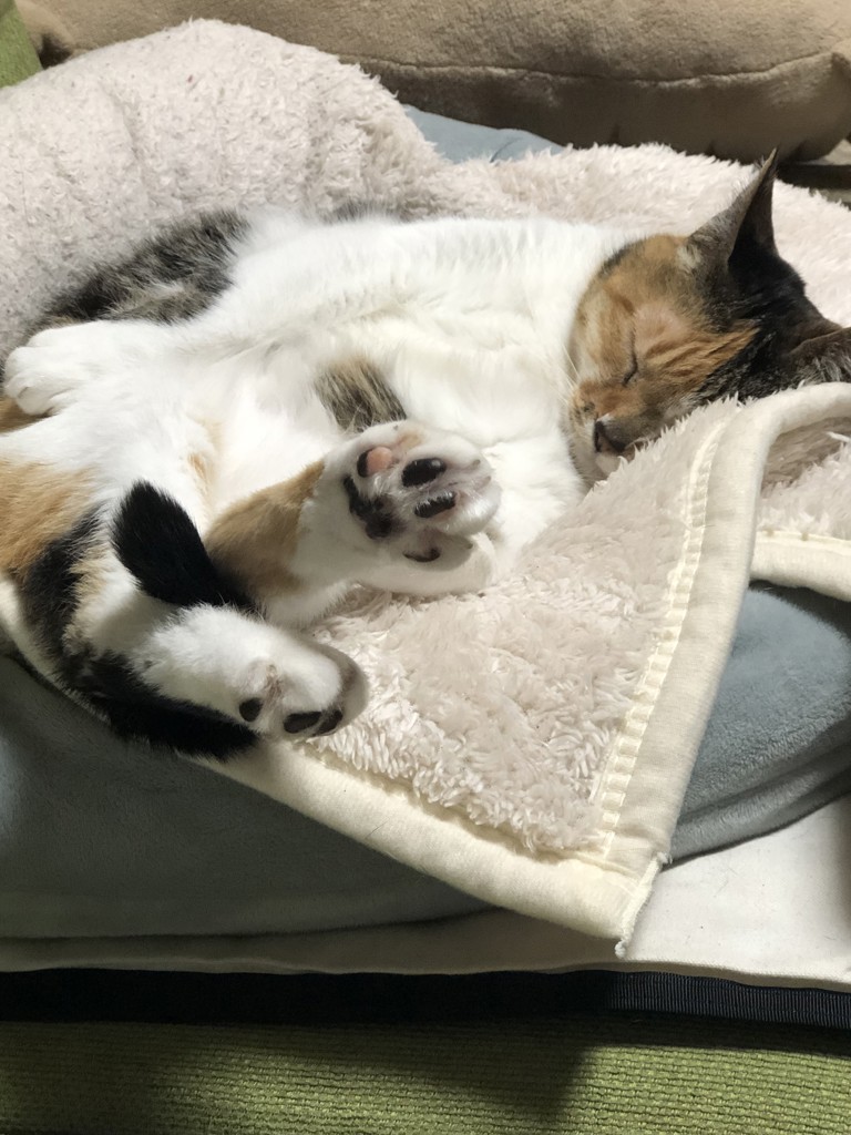 ユーザー写真
