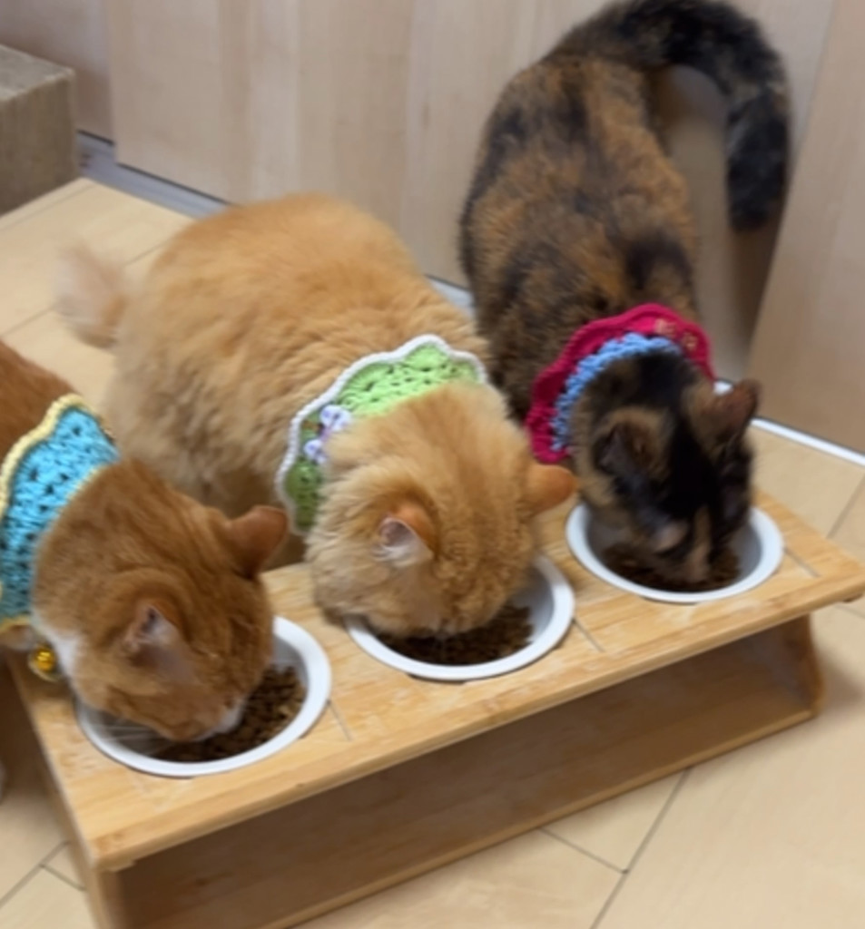 ユーザー写真
