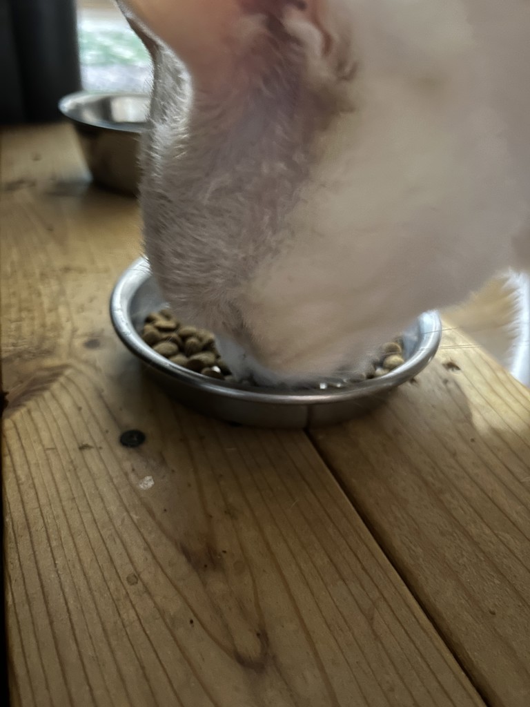 ユーザー写真