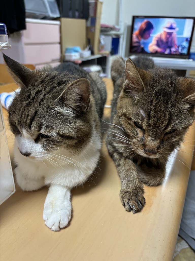 ユーザー写真