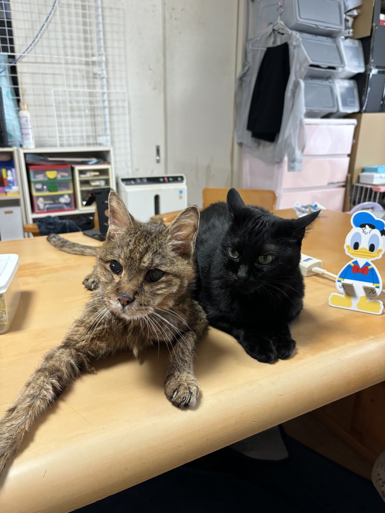 ユーザー写真