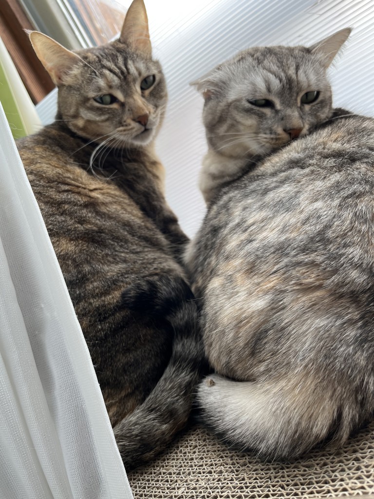 投稿写真
