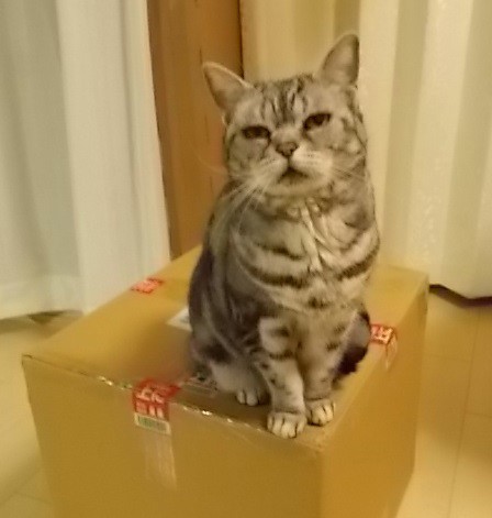 投稿写真