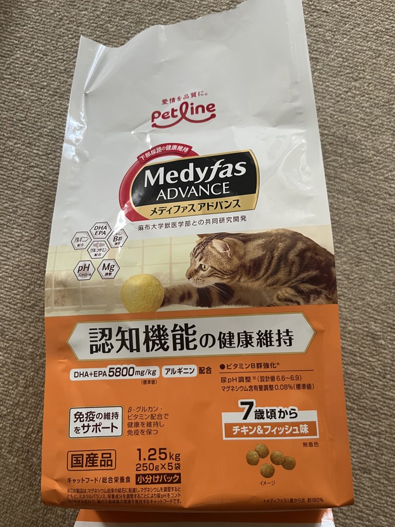 投稿写真