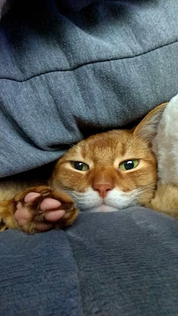 投稿写真