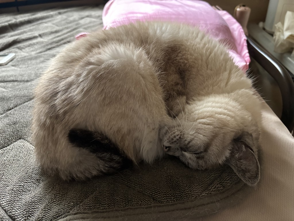 投稿写真