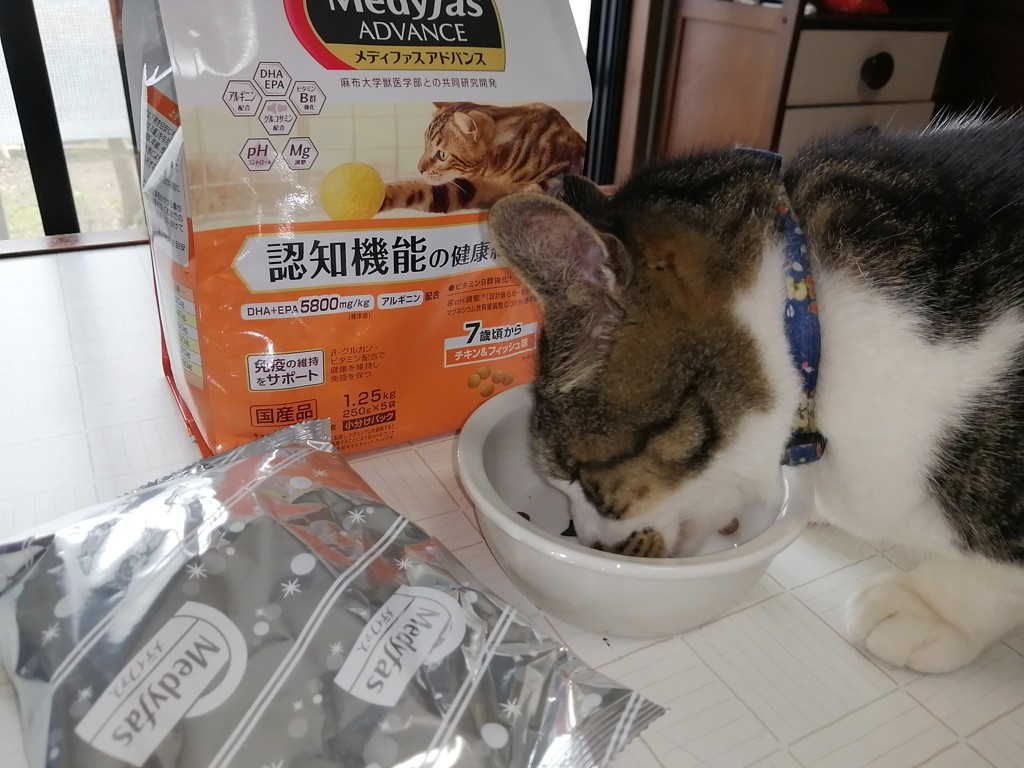 ユーザー写真