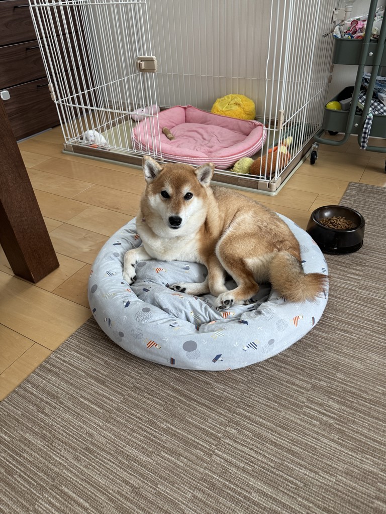 投稿写真