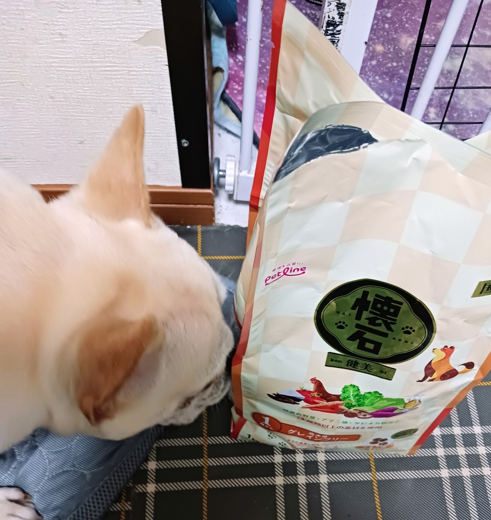 投稿写真