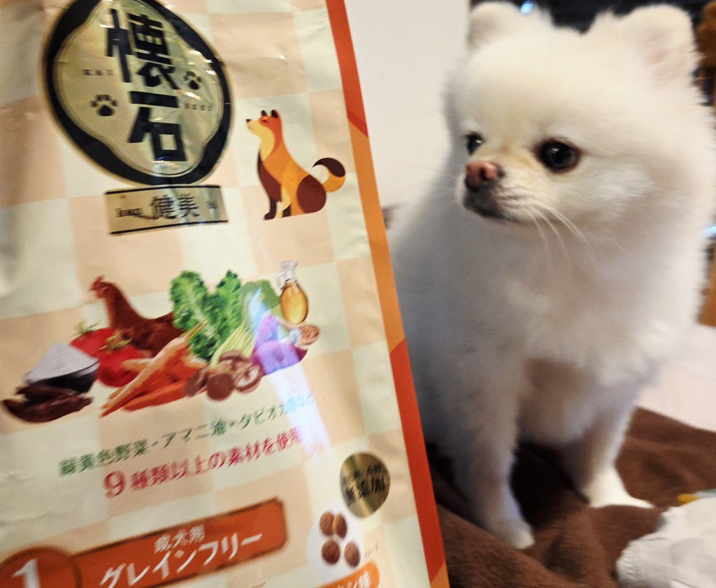 投稿写真