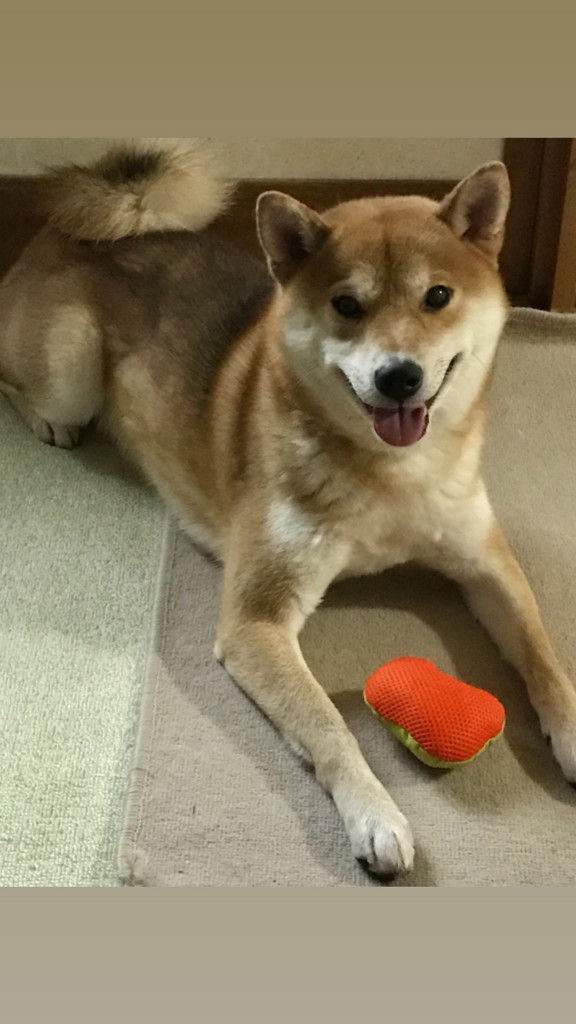 投稿写真