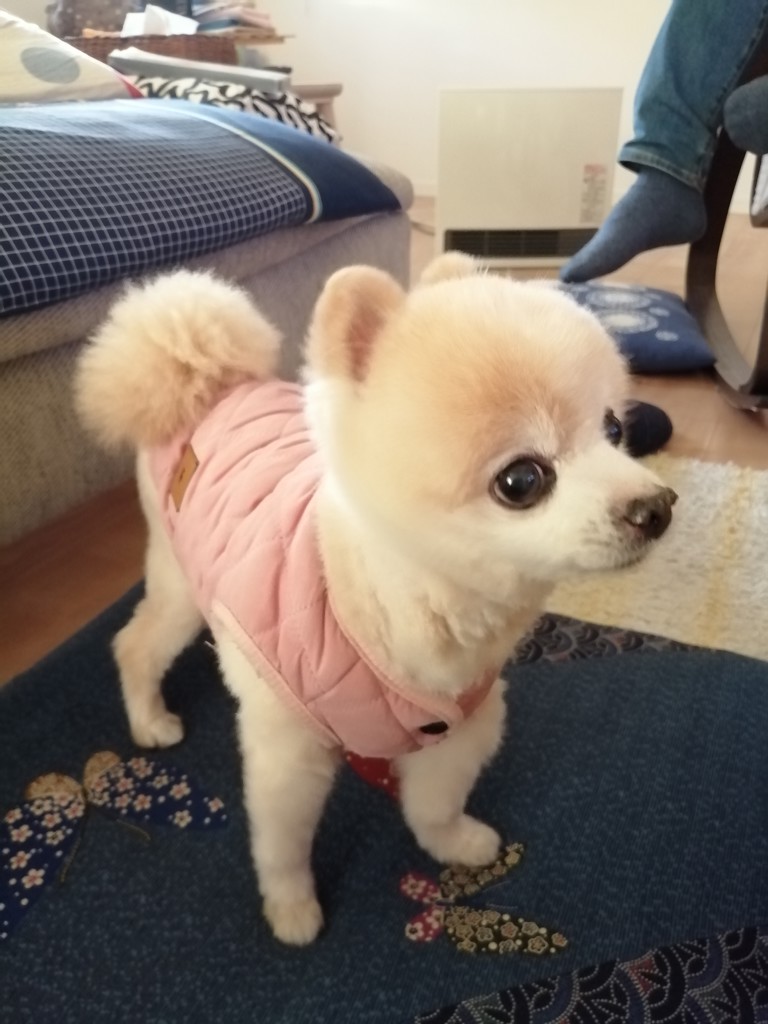 投稿写真