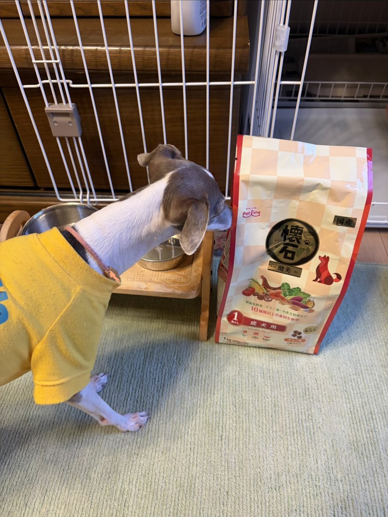投稿写真