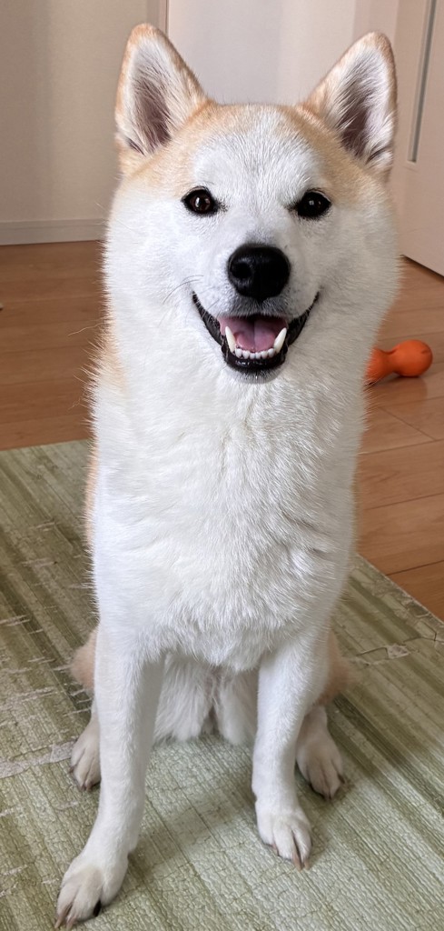 ユーザー写真