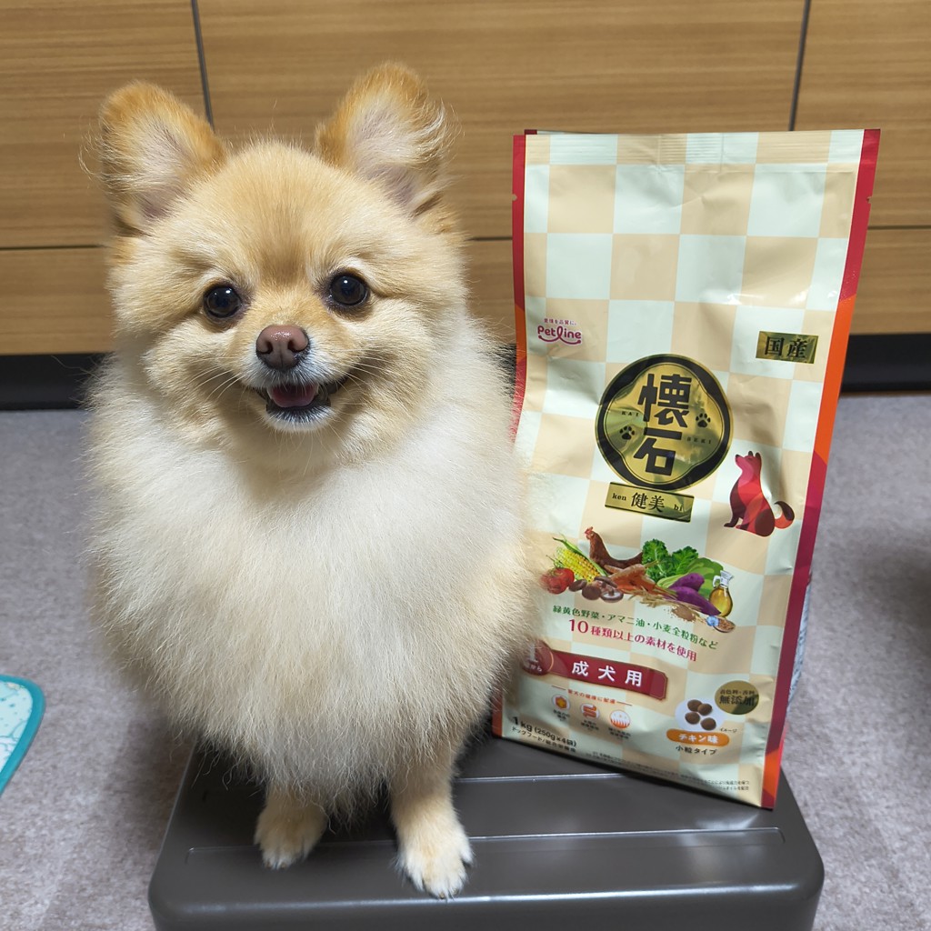 投稿写真