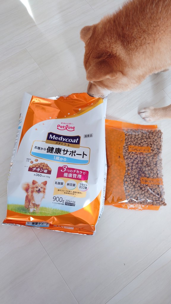 投稿写真