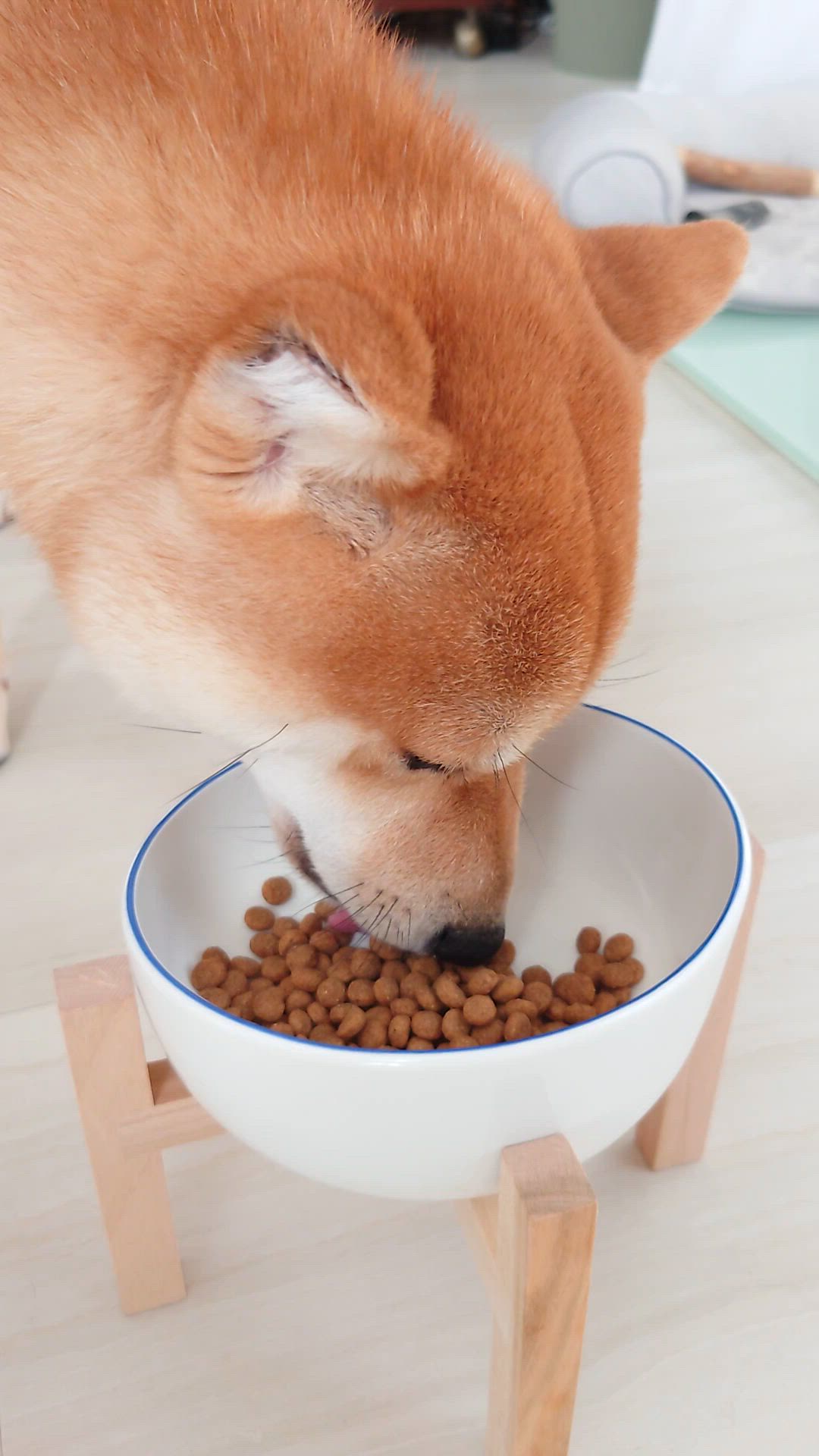 投稿写真