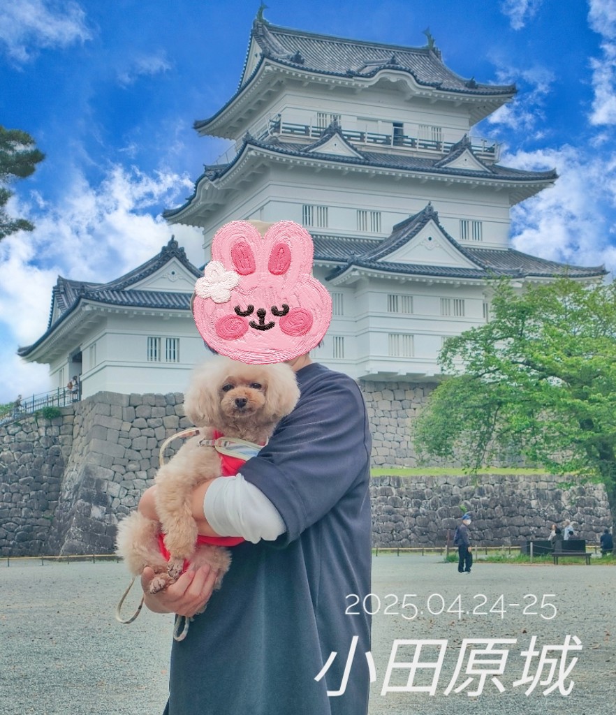 投稿写真