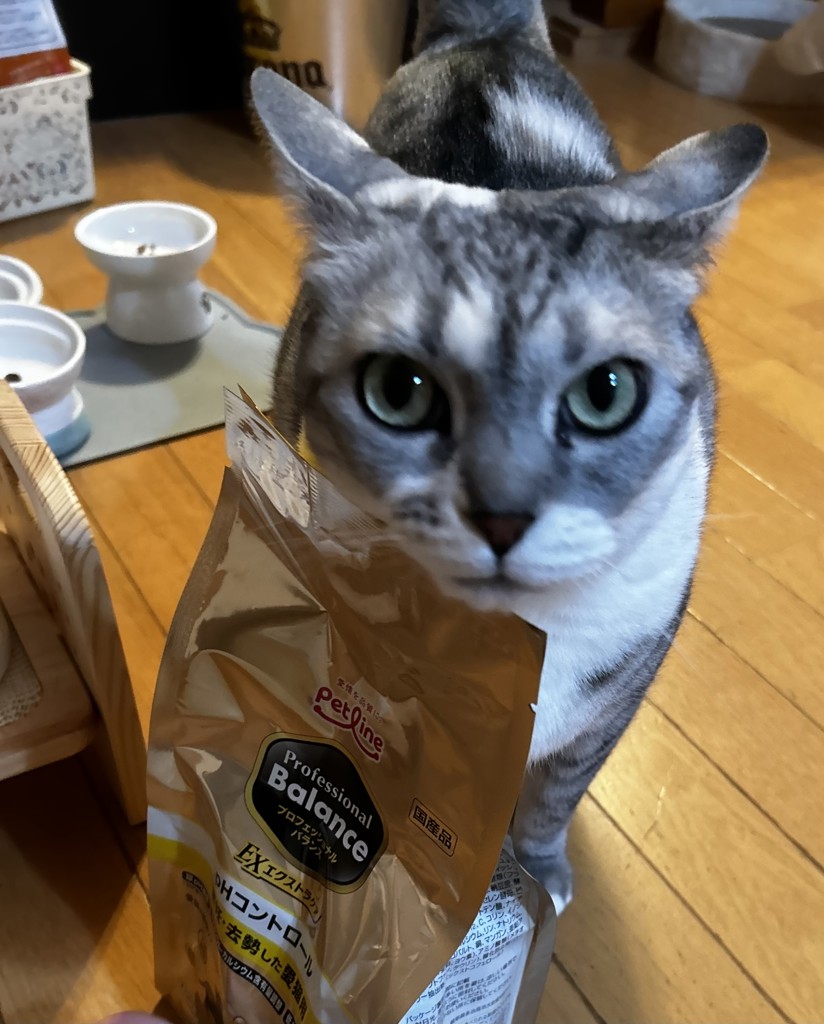 ユーザー写真