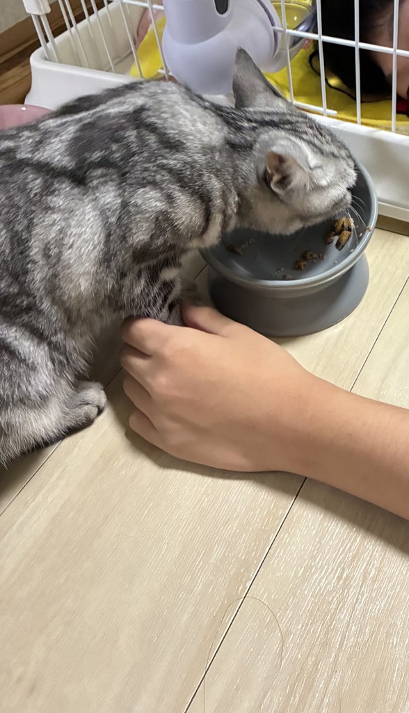 投稿写真