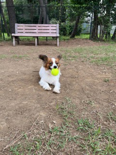 ユーザー写真